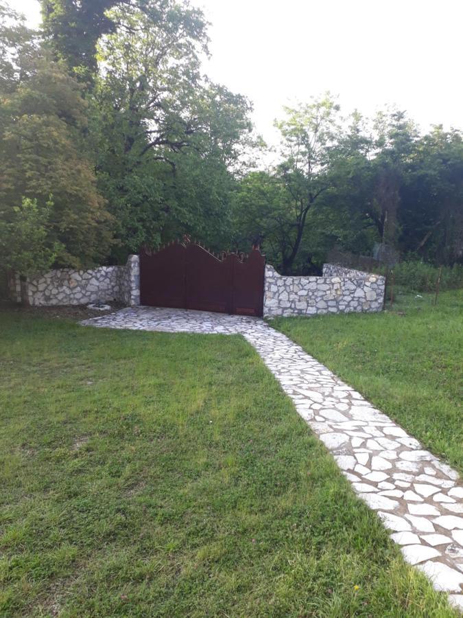 House At The Forest / Სახლი Ტყის Პირას Gordi Екстериор снимка